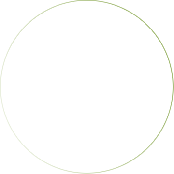 Black currant