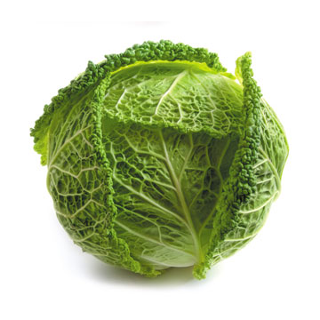 Cabbage, green, savoy, raw