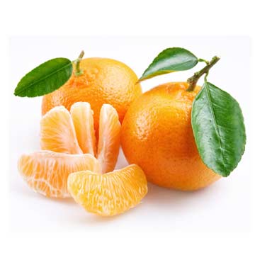 Tangerines, mandarin oranges, fresh