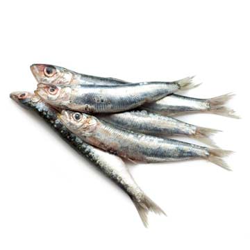 Sardines or pilchards, raw