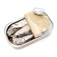 Sardines, in oil, canned